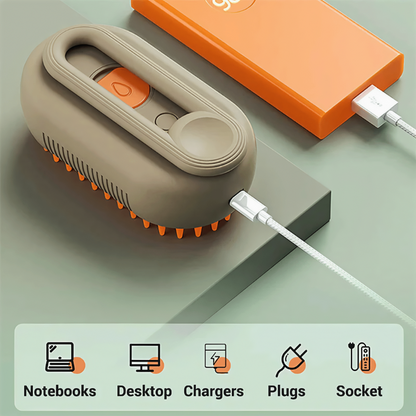 Steamy Cat Brush 3 in 1 Electric Spray
