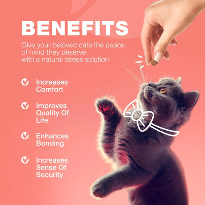 Chewia CatGuard Flea & Tick Prevention Chews